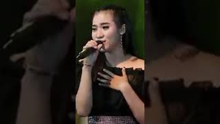Download lagu Story WA Banyu Moto Yeni Inka Om. Adella mp3 Download lagu Story WA Banyu Moto Yeni Inka Om. Adella mp3