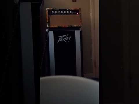 Custom Mini Amp Head (Washburn Sx12r) image 7