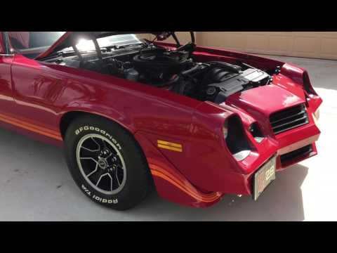 1981 Chevrolet Camaro (CC-1016494) for sale in Homestead, Florida