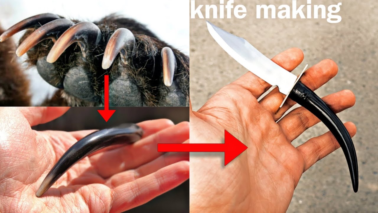 knife making - bear claw as a handle