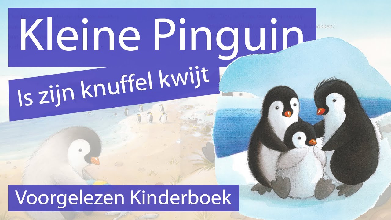 Kleine Pinguin Is Zijn Knuffel Kwijt- Voorgelezen Kinderboek