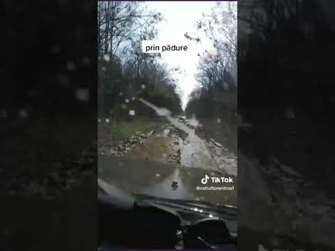 offroad  codri  vlasiei