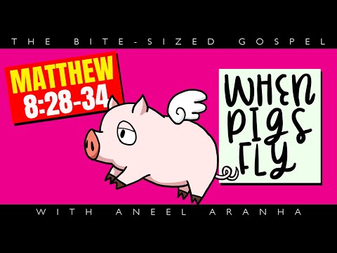 The Bite-Sized Gospel with Aneel Aranha — Matthew 8:28-34