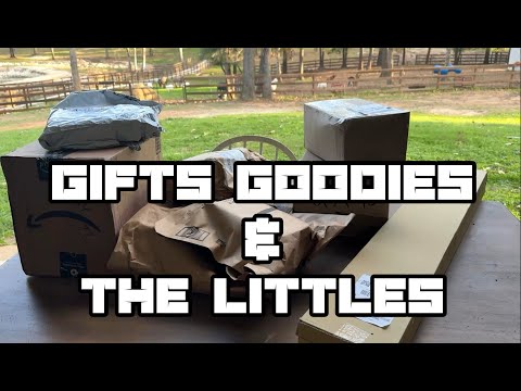 LIVE with Littles and Goodies