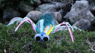 Bricolage insecte avec une bouteille en plastique