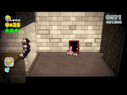 Super Mario 3D World 2-3 Speedrun - Time: 31