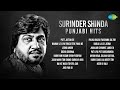 Best Of Surinder Shinda | Putt Jattan De | Jeona Morh | Sucha Soorma | Surinder Shinda Punjabi Hits