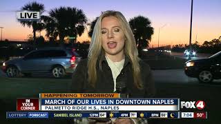 Students planning to march in downtown Naples Saturday