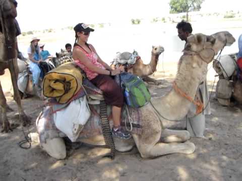 Jenn's Camel Standing Up