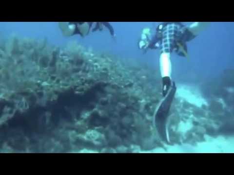 SCUBA Diving in Key Largo, FL with Rainbow Reef Dive Center II