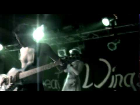 Beat of Wings - Backdoor Baby (Live)