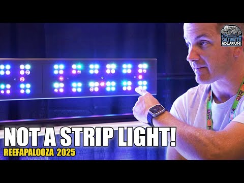 ATI Straton Flex - Full Tank Lighting Solution, Not a Strip Light! | Reefapalooza CA 2025