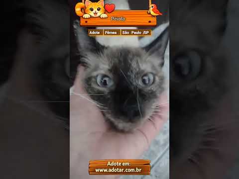 Vídeo de Pérola 