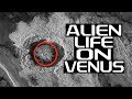 NASA Thinks There Is ALIEN LIFE On Venus