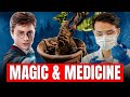 The Real Mandrake Is WAY Darker Than Harry Potter Showed