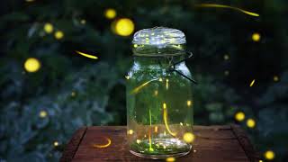 Kim Waters feat  Zendaya ~ Fireflies