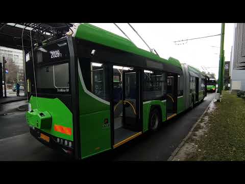 Troleibuz Solaris Linia 8 RATBV