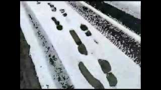 John Lee Hooker - Wandering Blues