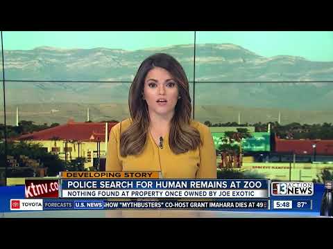 Tiger Tales: Jeff Lowe Tells More Tales for Attention