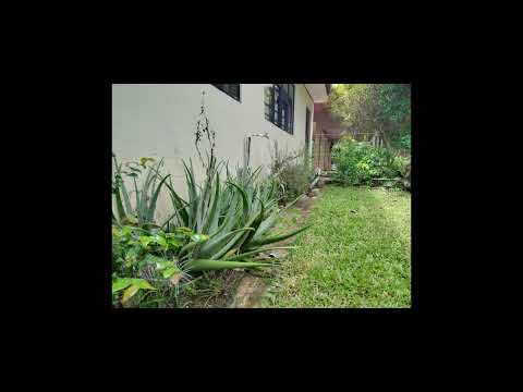 Imagen de Alquiler de Casas en Tacares - Grecia Tacares - ALAJUELA