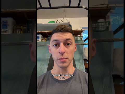 Navy vs. Marine Corps: The Differences Explained