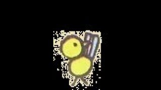 ポケモンソード/レア色夢ヒンバス厳選