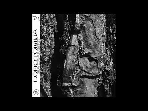 Lobotomija - Sacrament (Original Mix)[LBTMJ08]