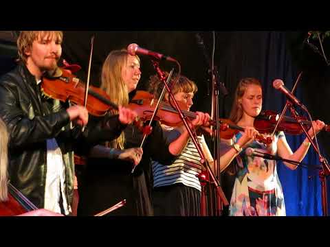 Musikstuderende (DK+S) Schottish ??????????????