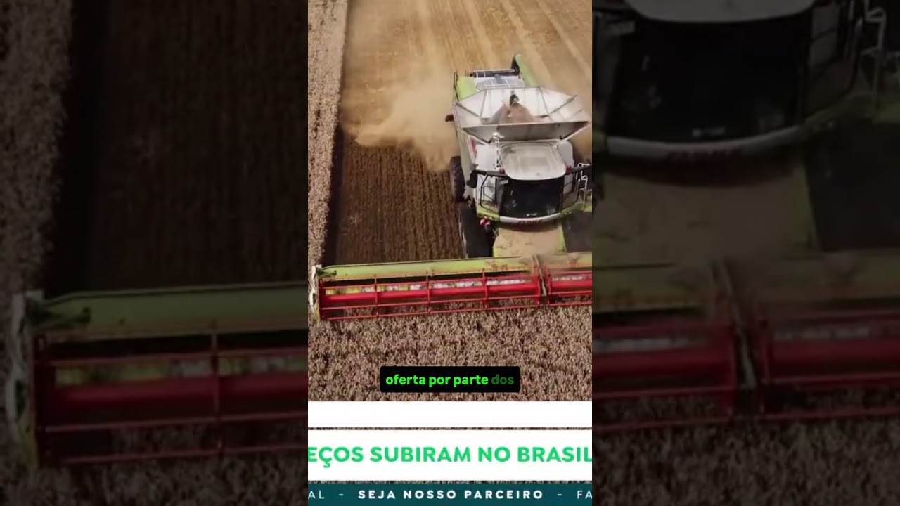Milho sobe mesmo com a safrinha? Safra 2026/27 será maior