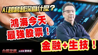 AI越套越深為什麼？鴻海今天最強股票！金融+生技！ (圖)