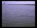 Barir Kache Arshi Nogor I Lalon Geeti I Farida Parveen I BENGALI FOLK SONG I SPIRITUAL SONG I QAWALI