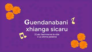 Guendanabani xhianga sicaru - Letra en zapoteco y español
