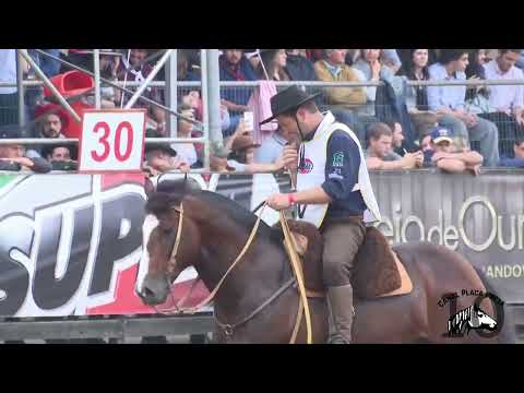 PN Cambiasso  - Bayard Sarmento - Freio de Ouro 2017