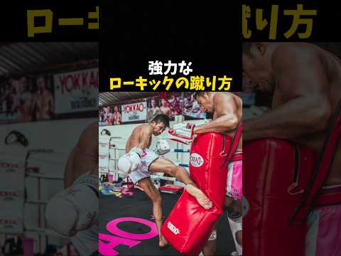 強力なローキックの蹴り方 #格闘技 #ufc #mma #rizin