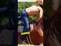 Handsome Horse Rider And Fascinating Personality Shorts
