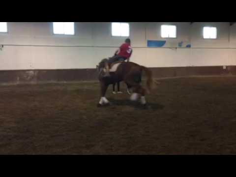 "Firme da Caniceira"