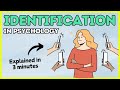 Identification In Psychology Explained In 3 Minutes