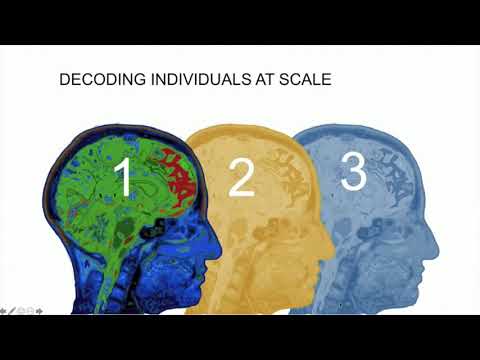 Chris Graves - A New Way To Decode The Sensemaking Genome | Nudgestock 2020