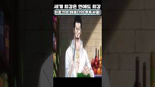 🔥미친 작화🔥 미호크와 페로나의 부부싸움!