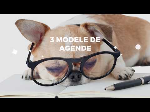 AGENDE PERSONALIZATE CENTURY IMAGE