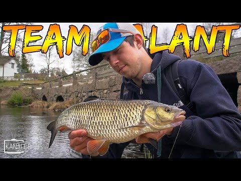 Døbelfiskeri i Sverige