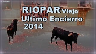 preview picture of video 'ENCIERRO de RIOPAR VIEJO 2014'