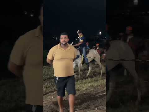 Cavalhada do amigo Léo de Glória do Goita/ 05/09/2026 #cavalhada #viral 
