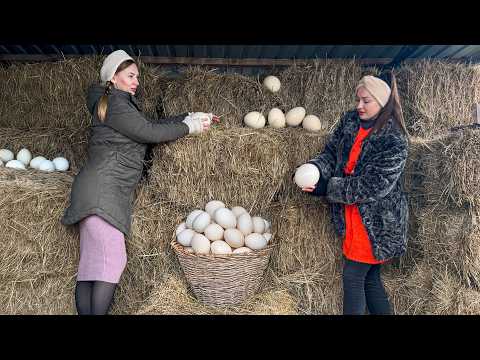 The Ultimate Giant Egg Dish! Ostrich Egg Wrapped in Meat