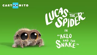Download lagu Lucas the Spider - Arlo the Owl ™And The Snake - Short mp3