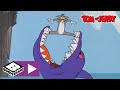 Le Requin Tom Et Jerry Boomerang