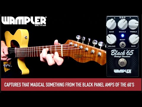 Wampler BLACK '65 Limited Edition Revival - Black image 6