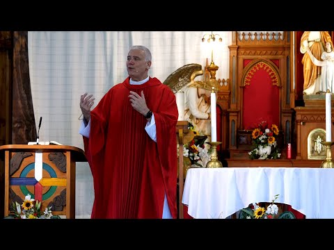 How to Handle Discouragement: Father Larry Richard's - Family Life Conference 2023 Homily