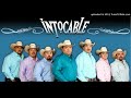 Intocable - Anhelo (2009)
