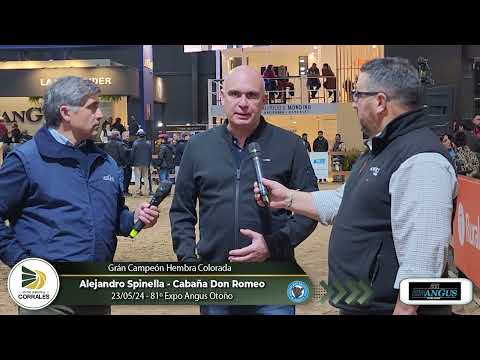 23-05-24 - Alejandro Spinella - Grán Campeón Hembra Colorada - 81º Expo.  Angus Otoño